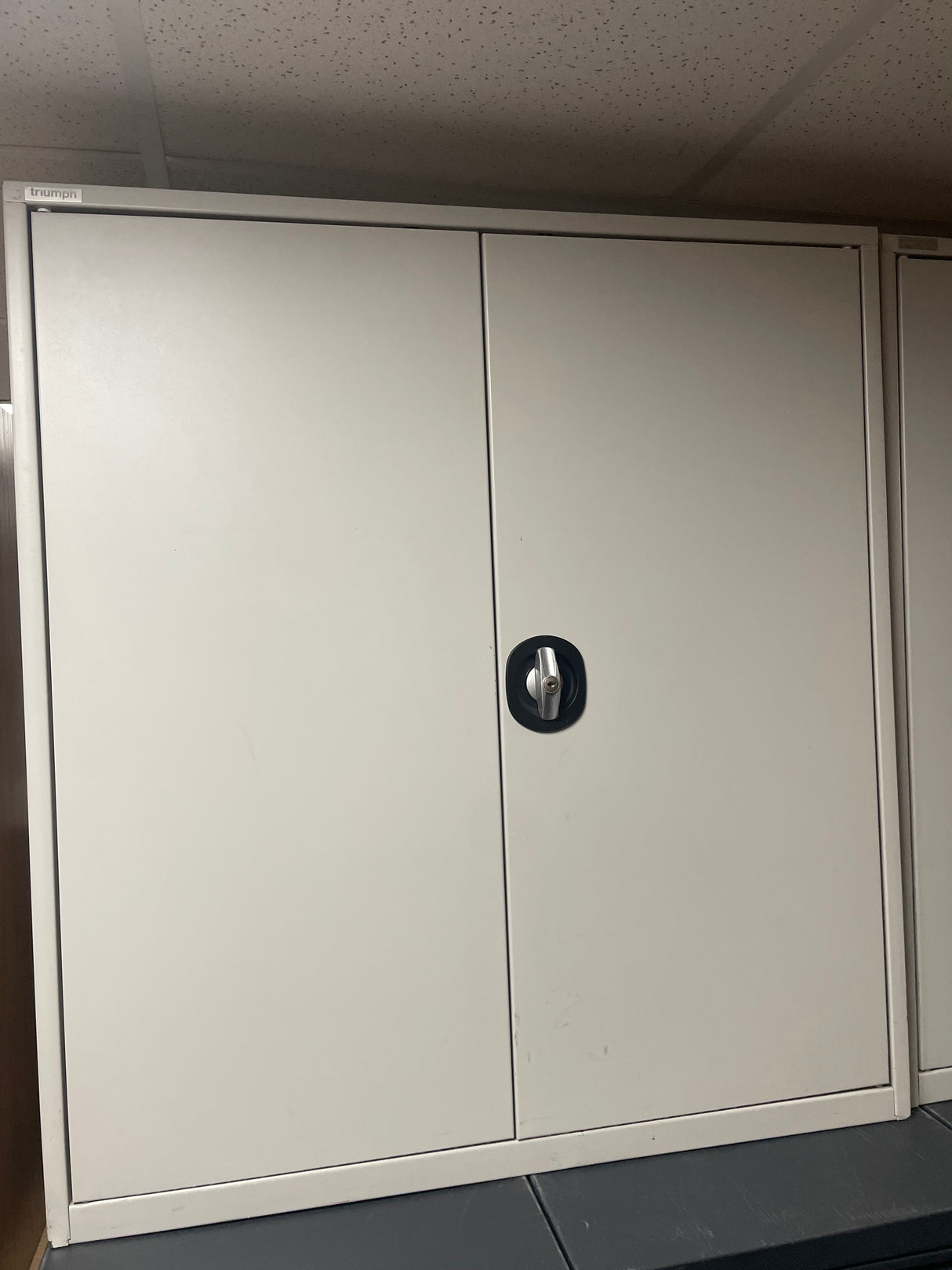 Triumph 2 Door Metal Storage