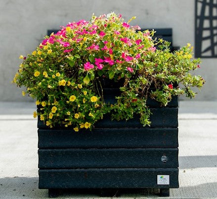 Planter Box