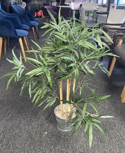 Bamboo Planter in Silver Pot