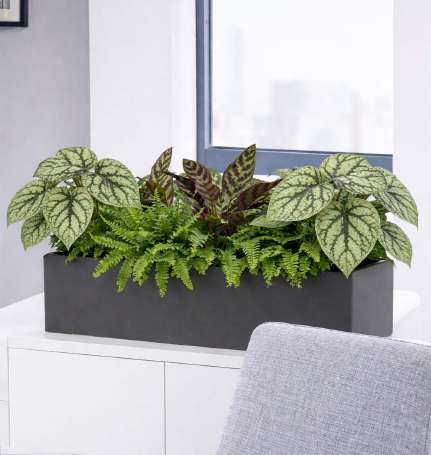 FR Colour Leafy Mix Cabinet Troughs