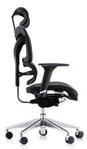 Dorsum Mesh Back Task Chair