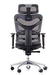 Dorsum Mesh Back Task Chair