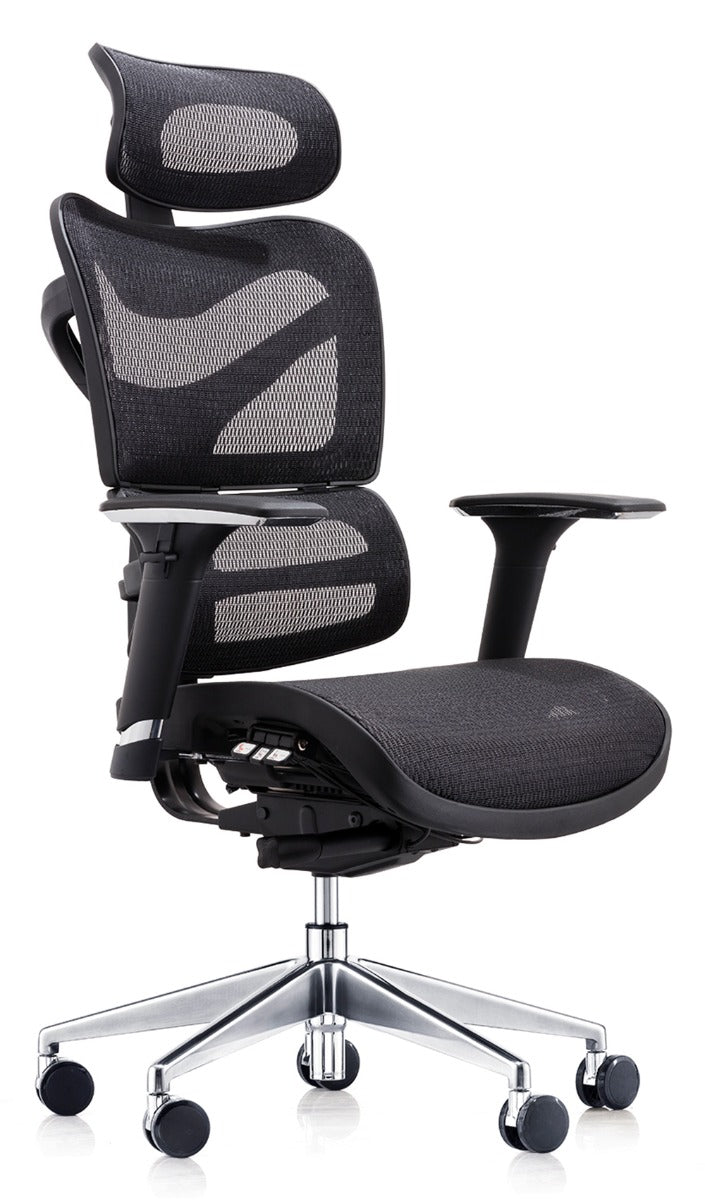 Dorsum Mesh Back Task Chair
