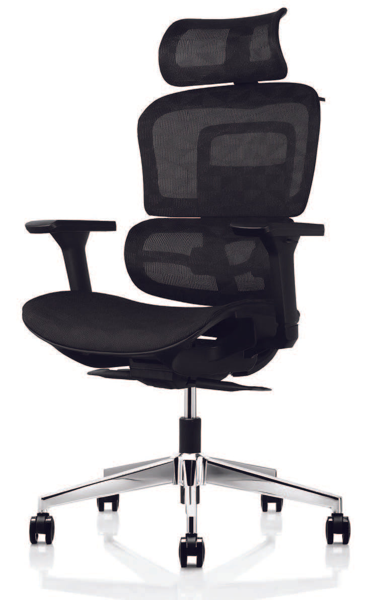 RON Ergo Mesh Back Chair