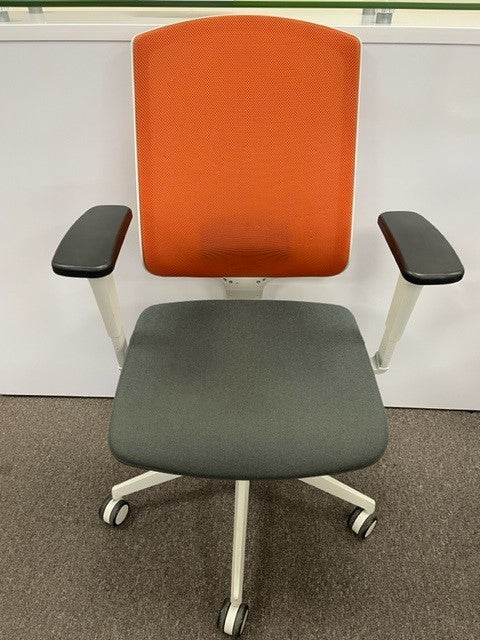 Senator Multifunctional Task Chair