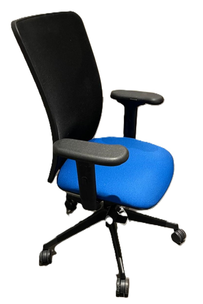 Torasen Mesh Back Task Chair