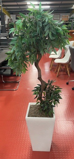 Office Planter in White Pot