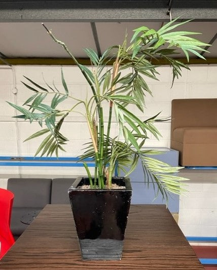 Black Square Pot Office Planter