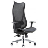 Mala Mesh Back Ergonomic Chair