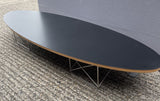 Oval Coffee Table