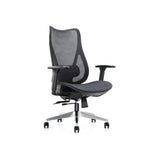 Mala Mesh Back Ergonomic Chair