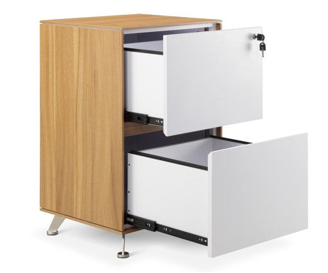 Earl Executive Two Drawer Filing Cabinet