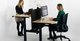 R802X Sit & Stand Back to Back Electric Desk