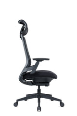 Tenm Executive Ergonomic Chair