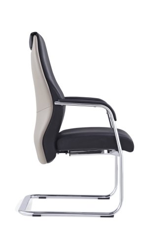 Harry Executive Cantilever Arm Chair