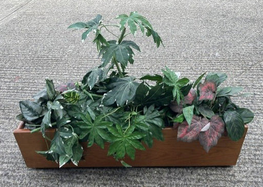 Rectangular Office Faux Plants and Planter