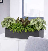 FR Colour Leafy Mix Cabinet Troughs