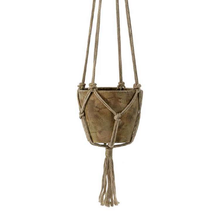 Trailing Philodendron Hanging Plant