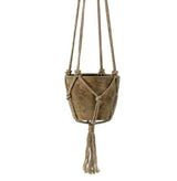 Trailing Philodendron Hanging Plant