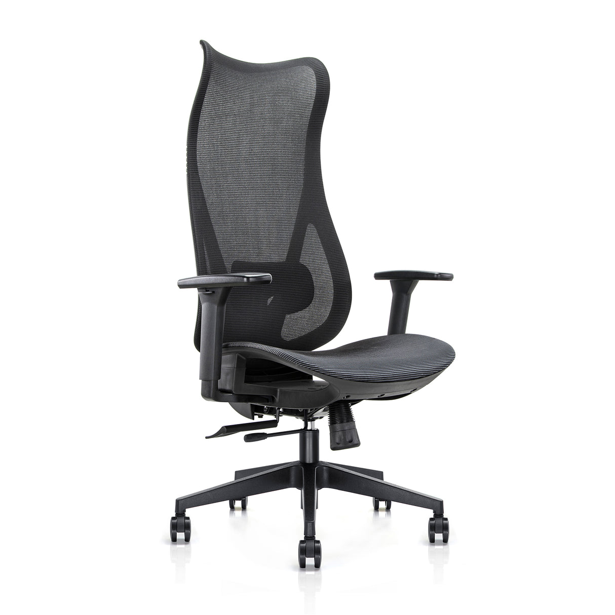 Mala Mesh Back Ergonomic Chair