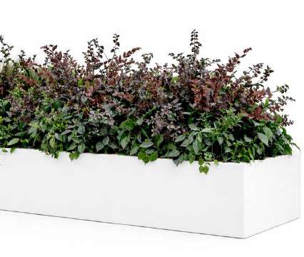 Standard Preserved Mix Polyblock Insert