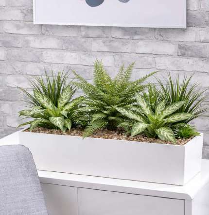 Standard Leafy Mix Cabinet Trough