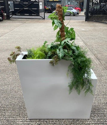 White Fibreglass Planter 900 x 1000 x 350