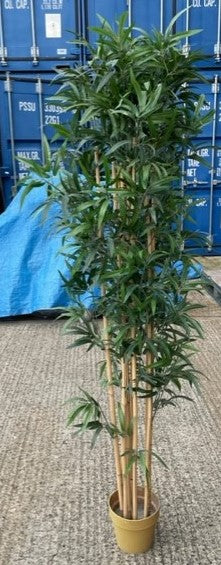 Office Potted Plant With Bamboo Sticks