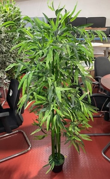 Green Leaves Office Potted Plant