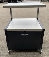 Computer Cabinet on Wheels with Shelf